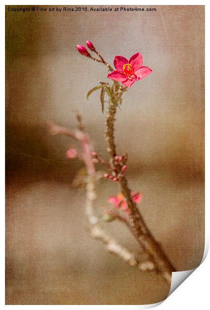  Little red flower Print by Fine art by Rina