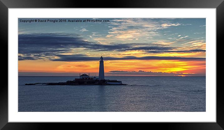 St Mary’s Lighthouse Framed Mounted Print by David Pringle