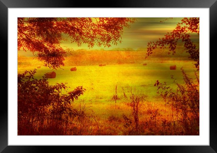  Ready for Winter. Framed Mounted Print by Heather Goodwin