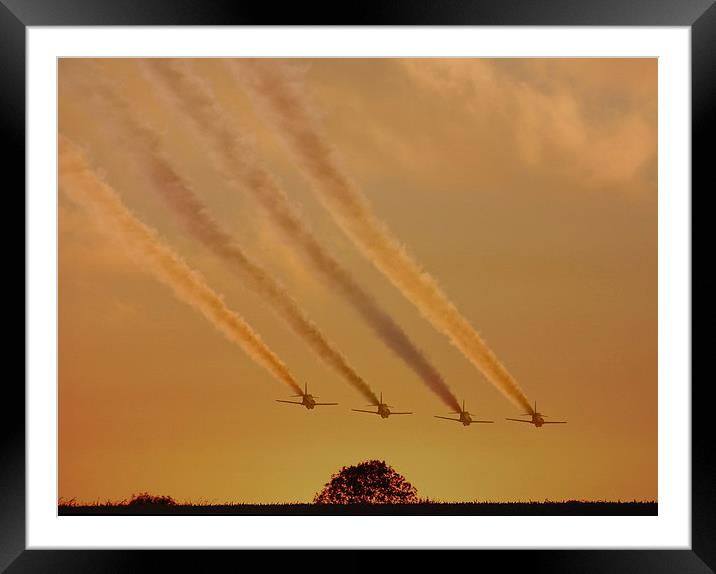Flying Into the Sunset  Framed Mounted Print by Ros Ambrose