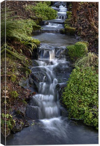 Winter Stream Waterfall Canvas Print by Mike Gorton