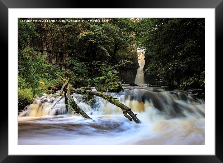 Catrigg Force Waterfall in Early Autumn Yorkshire  Framed Mounted Print by David Forster