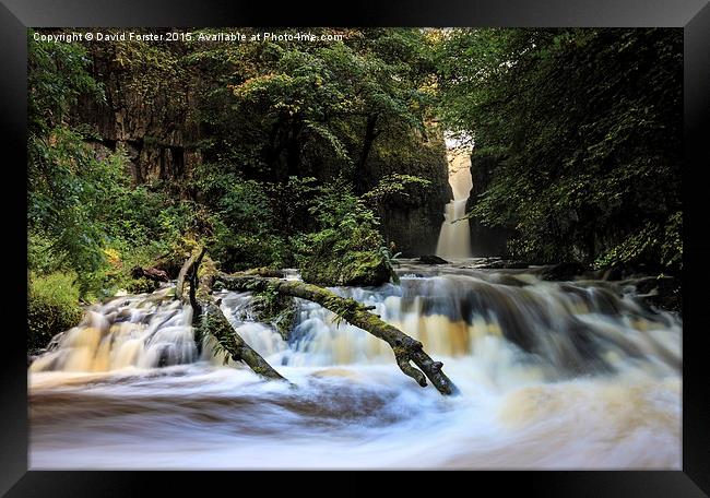 Catrigg Force Waterfall in Early Autumn Yorkshire  Framed Print by David Forster
