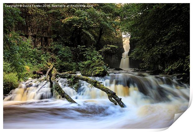 Catrigg Force Waterfall in Early Autumn Yorkshire  Print by David Forster
