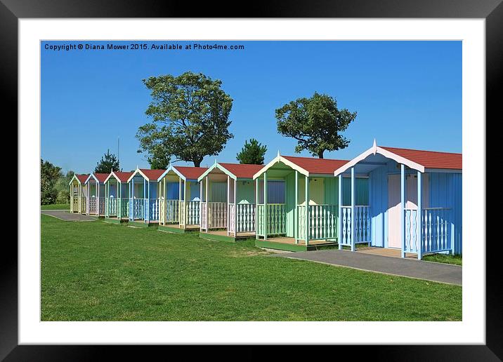  Maldon  Beach Huts  Framed Mounted Print by Diana Mower