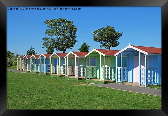  Maldon  Beach Huts  Framed Print by Diana Mower