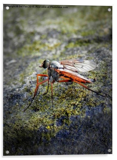  fly on the wall Acrylic by Derrick Fox Lomax