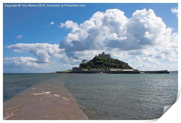 St Michael's Mount From The Causeway  Print by Terri Waters