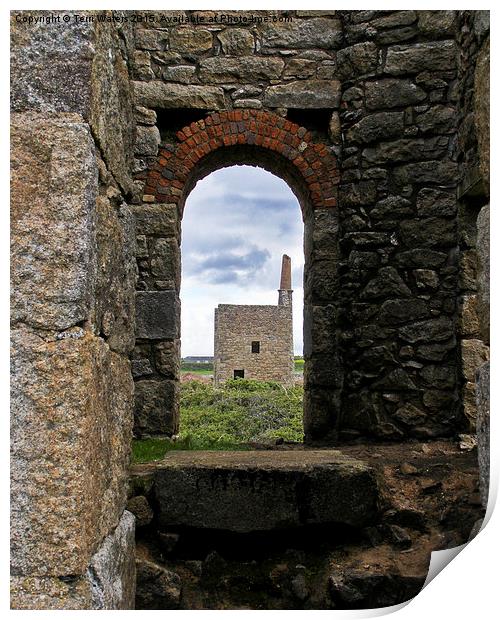 West Wheal Owles From Wheal Edward Print by Terri Waters