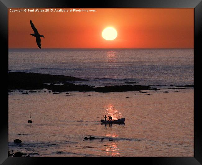 Sunset Fishing Framed Print by Terri Waters