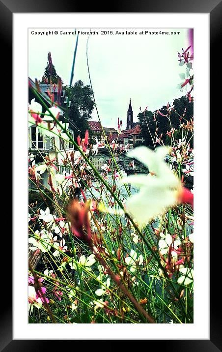  Flowers over the Bridge Framed Mounted Print by Carmel Fiorentini