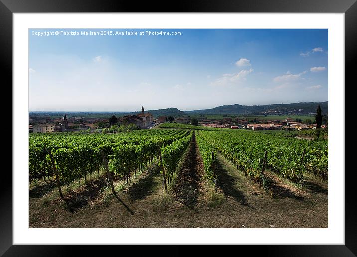  Italian Vineyards Framed Mounted Print by Fabrizio Malisan