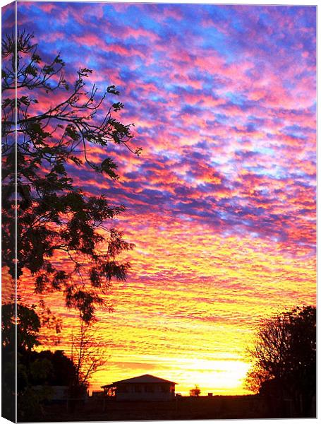 Sunset Barkly Downs Canvas Print by Lenka Dunn