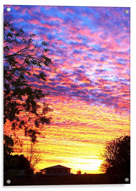 Sunset Barkly Downs Acrylic by Lenka Dunn