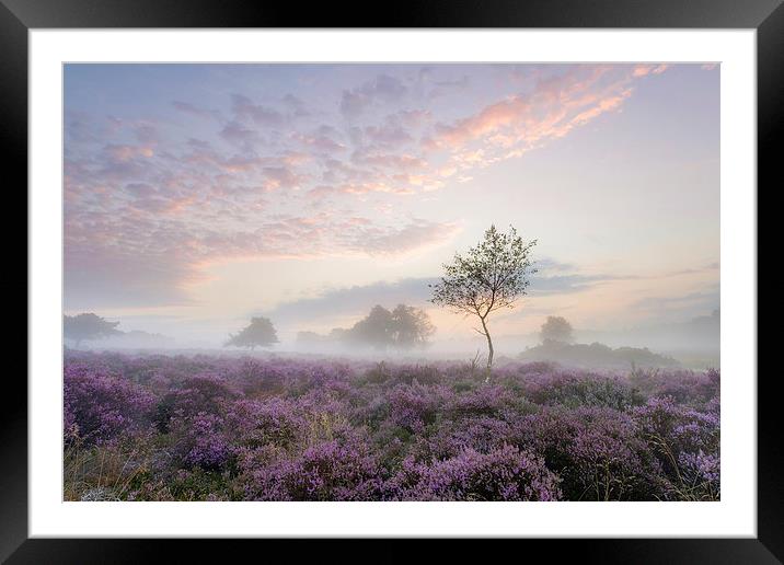Tranquil Misty Sunrise on Westleton Heath Framed Mounted Print by Rick Bowden