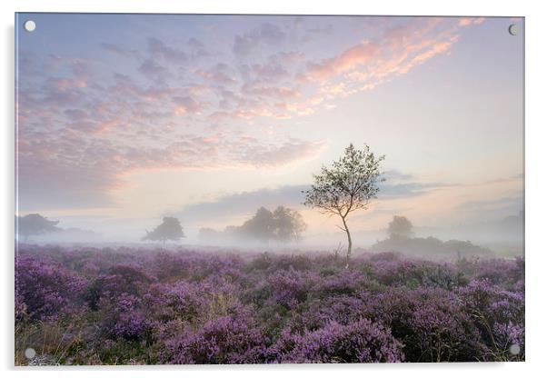 Tranquil Misty Sunrise on Westleton Heath Acrylic by Rick Bowden