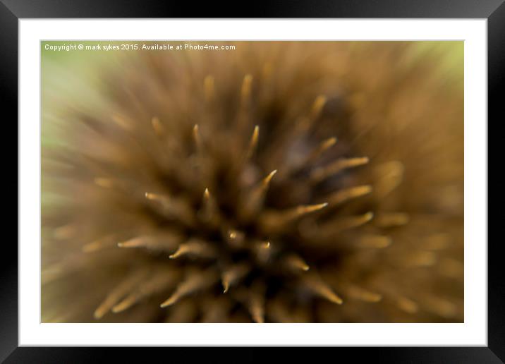  Abstract Macro Framed Mounted Print by mark sykes