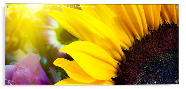 Sunflower closeup in landscape with sunshine Acrylic by Simon Bratt LRPS