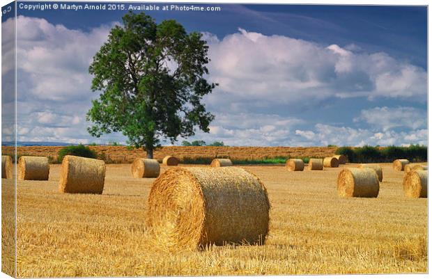 Haybales at Harvest Time Canvas Print by Martyn Arnold