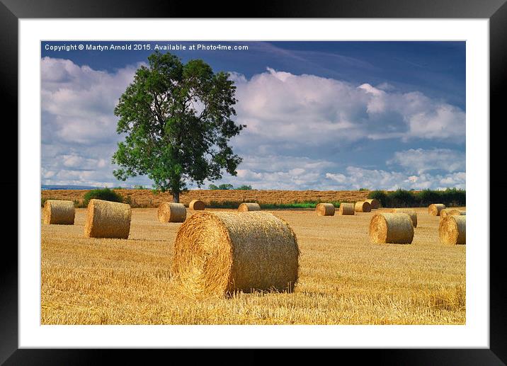 Haybales at Harvest Time Framed Mounted Print by Martyn Arnold