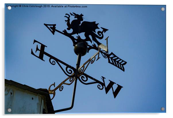  Welsh Dragon Weather Vane Acrylic by Chris Colclough