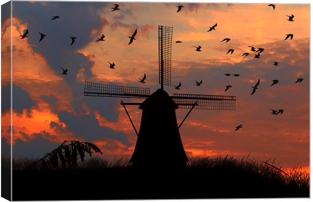  mill and gulls at sunset   Canvas Print by Guido Parmiggiani
