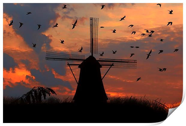  mill and gulls at sunset   Print by Guido Parmiggiani