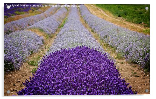 Lavender Field Acrylic by Graham Custance