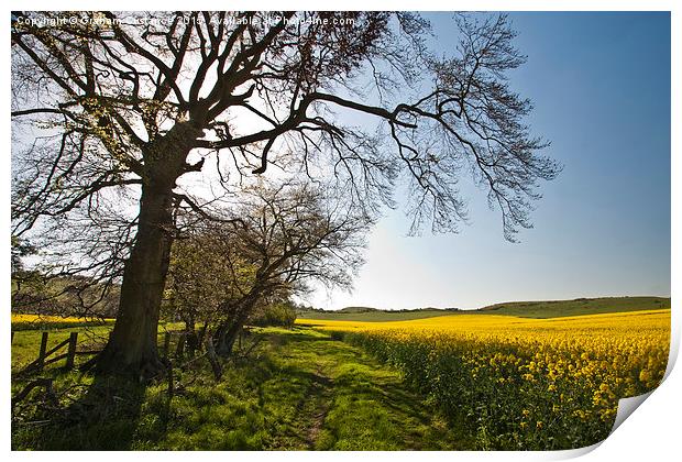 Ivinghoe Beacon Print by Graham Custance