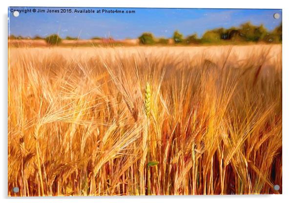  Wheat among the Barley Acrylic by Jim Jones