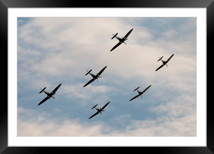 Spitfire Anniversary Framed Mounted Print by J Biggadike