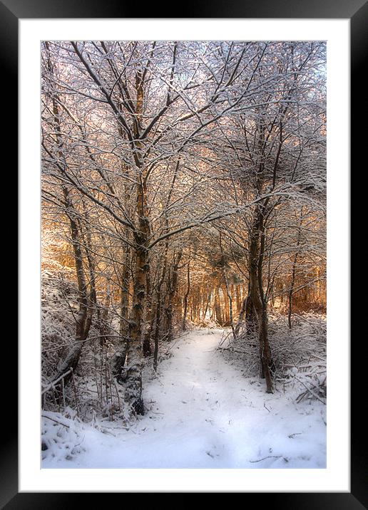 Deer Path in the Snow Framed Mounted Print by Ann Garrett