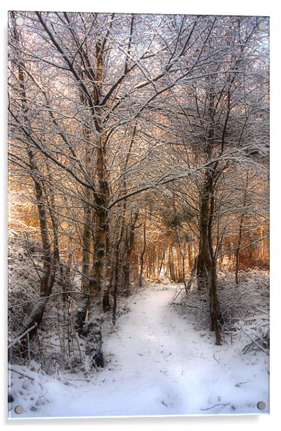 Deer Path in the Snow Acrylic by Ann Garrett
