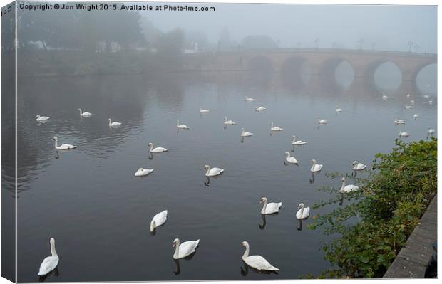  The Swans of Worcester Canvas Print by WrightAngle Photography