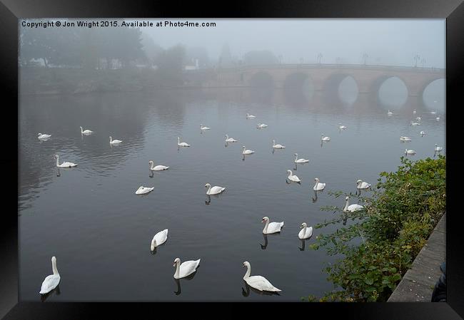  The Swans of Worcester Framed Print by WrightAngle Photography