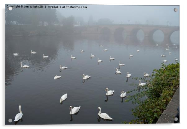  The Swans of Worcester Acrylic by WrightAngle Photography