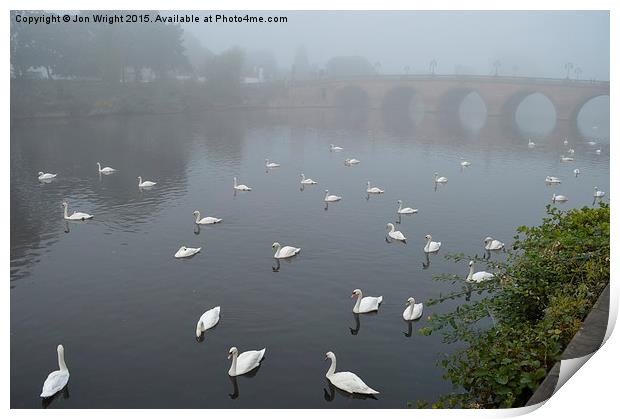  The Swans of Worcester Print by WrightAngle Photography