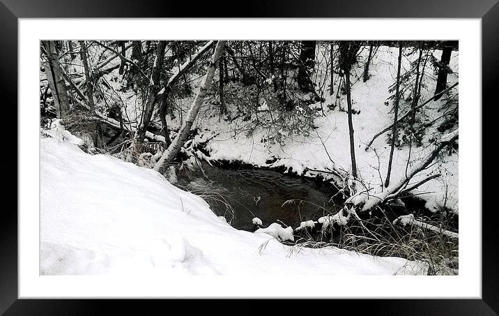  Alaska Winter Creek Framed Mounted Print by Erin Hayes