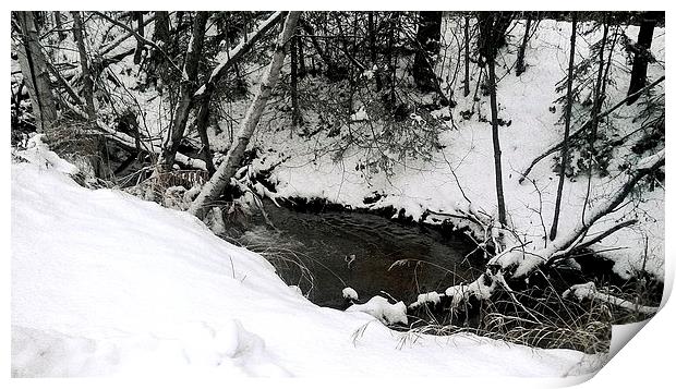  Alaska Winter Creek Print by Erin Hayes