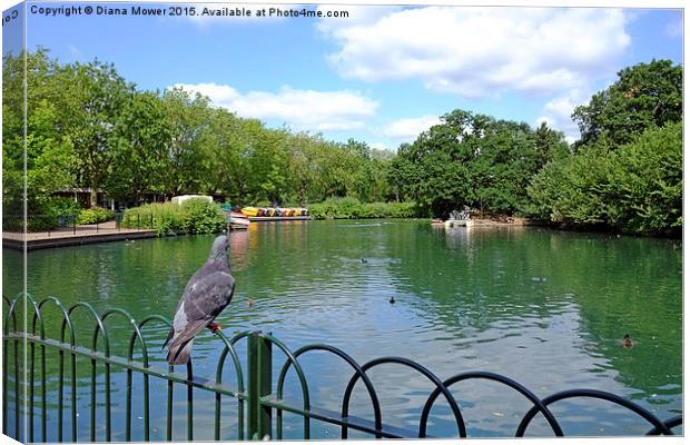  Finsbury Park Boating Lake Canvas Print by Diana Mower