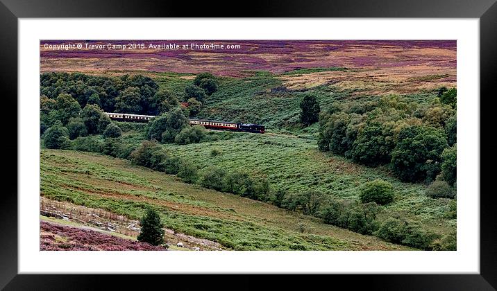 Through the Heather Framed Mounted Print by Trevor Camp