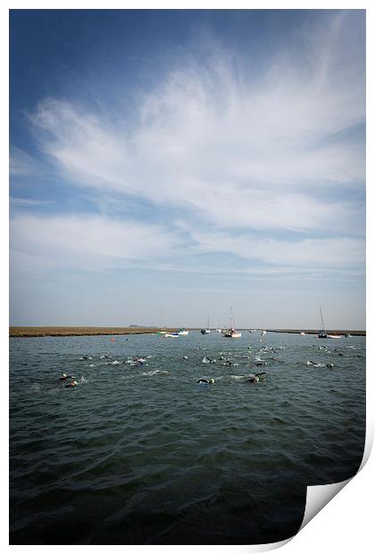 Norfolk Swimmers Print by Simon Wrigglesworth