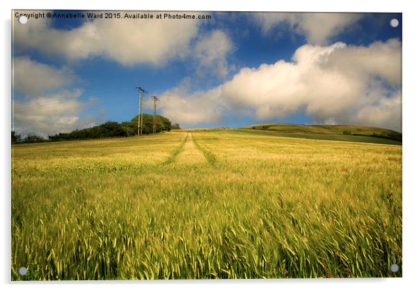Fields of Barley. Acrylic by Annabelle Ward