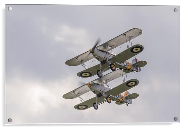 Hawker Nimrod biplanes Acrylic by Gary Eason