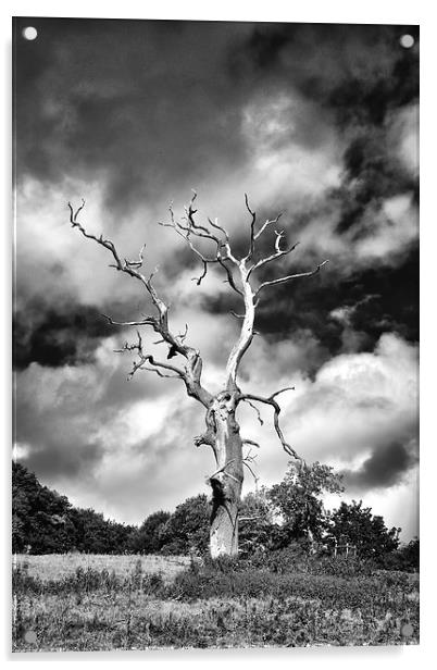  Dead Tree and a Moody Sky in Mono Acrylic by Gary Kenyon