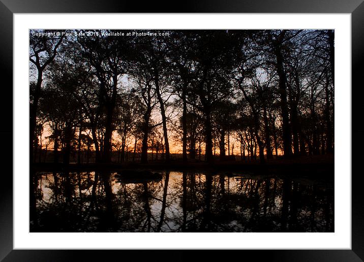 Reflections Of A Pond Framed Mounted Print by Paul Bate