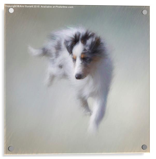 Puppy Power Acrylic by Ann Garrett