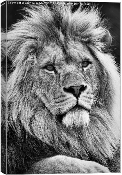 Lion King Canvas Print by Joanne Wilde