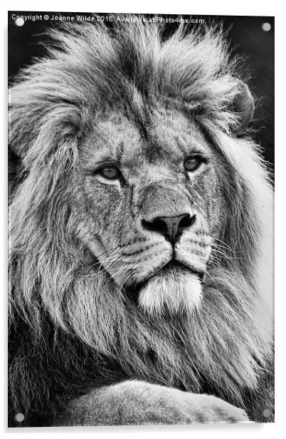  Lion King Acrylic by Joanne Wilde