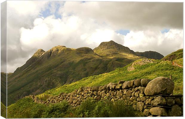 The Langdales in the Lake District  Canvas Print by Jacqi Elmslie